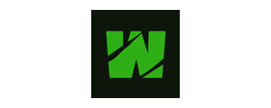 Wild Casino logo
